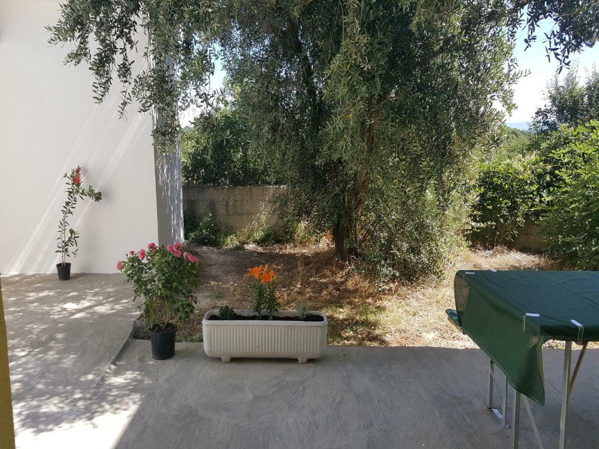 Apartment Silvija Ližnjan Eksteriør billede